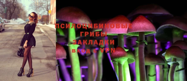 мескалин Покачи