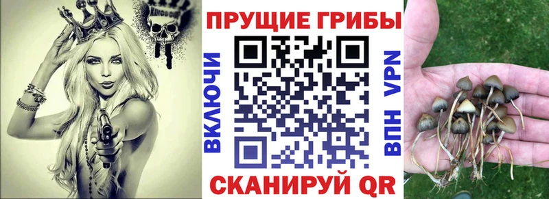 Галлюциногенные грибы Magic Shrooms  Морозовск 